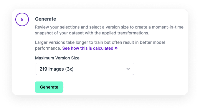 The dataset generation menu has the ability to select the version size and a generate button. the maximum size has been selected.