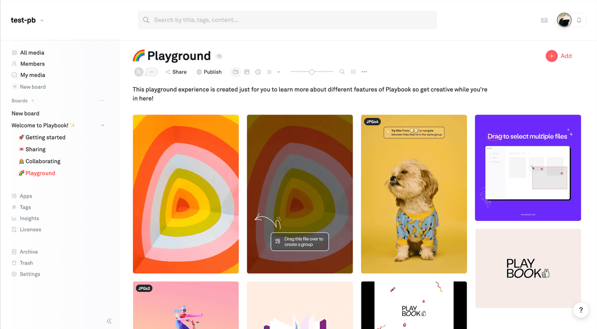Playbook web app view