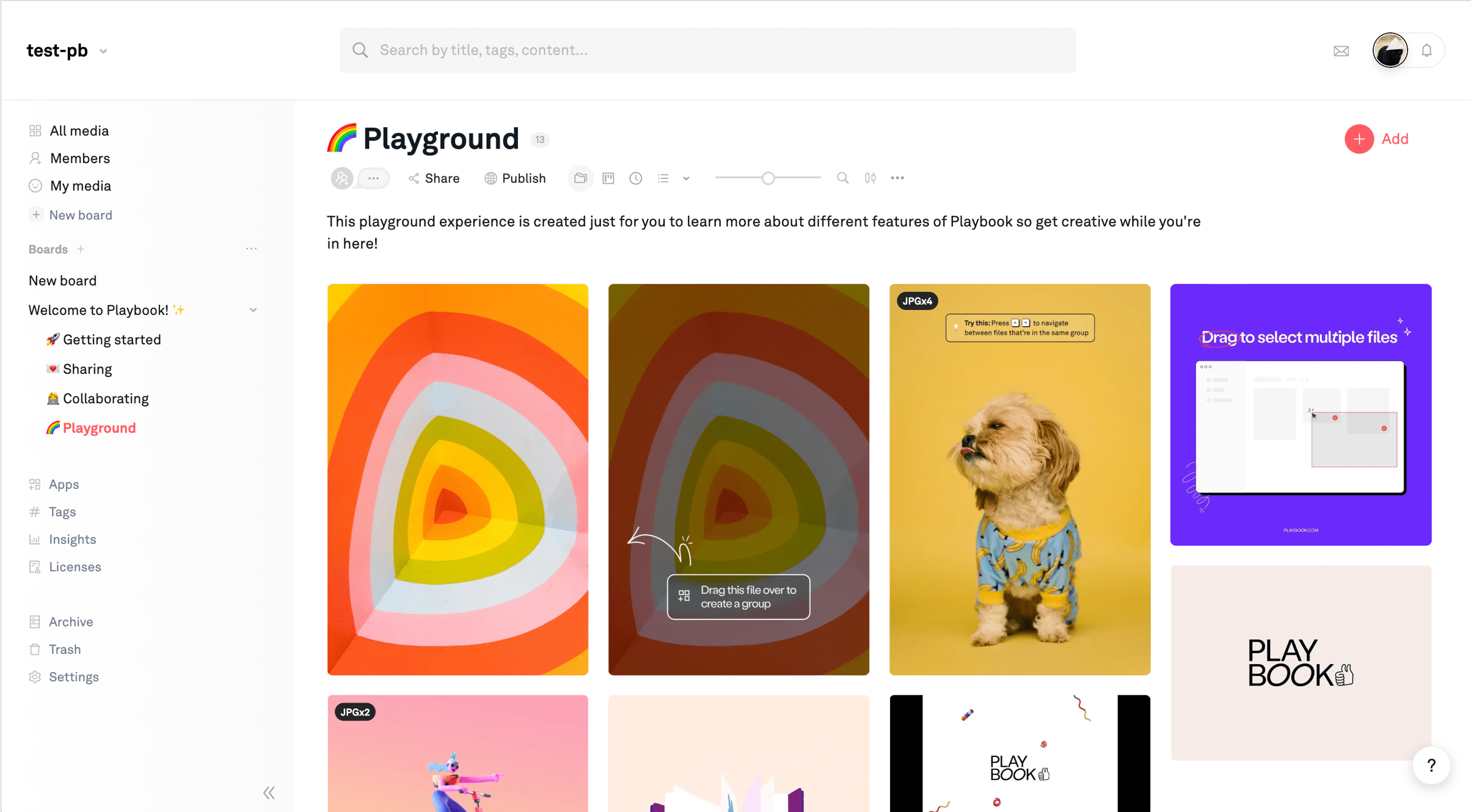 Playbook web app view