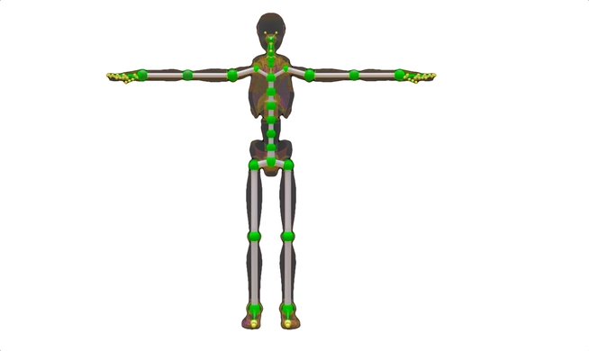 a graphic representation of a skeletal model, used for body motion capture with AR