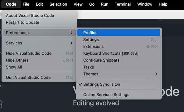 VS Code Profiles feature