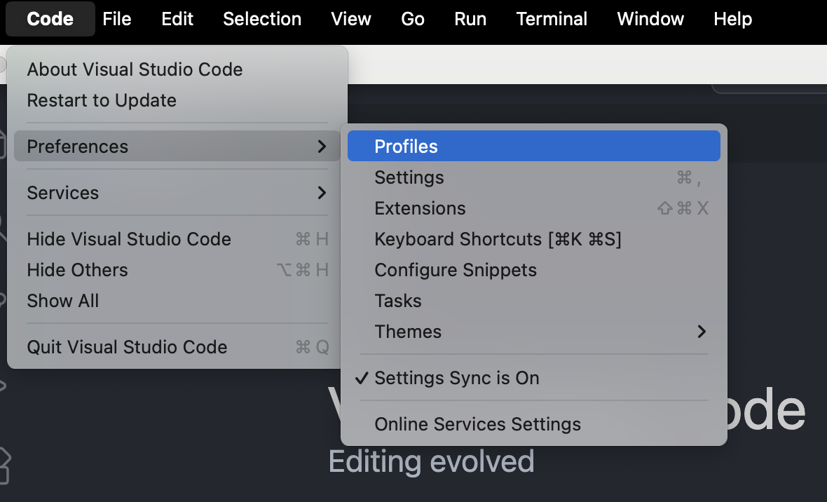 VS Code Profiles feature