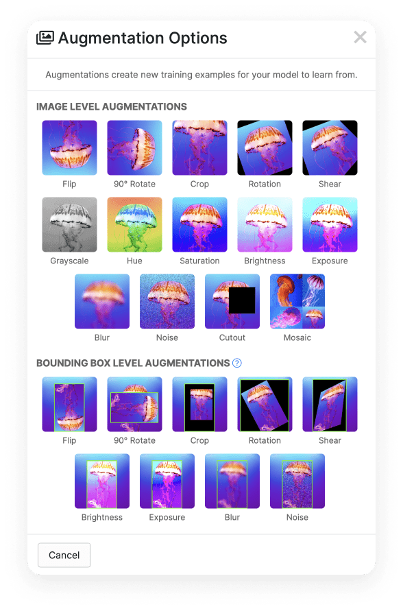 There are a wide array of augmentation options available for us, we can flip, crop, rotate, add a blur, noise, adjust brightness or exposure, and many more.