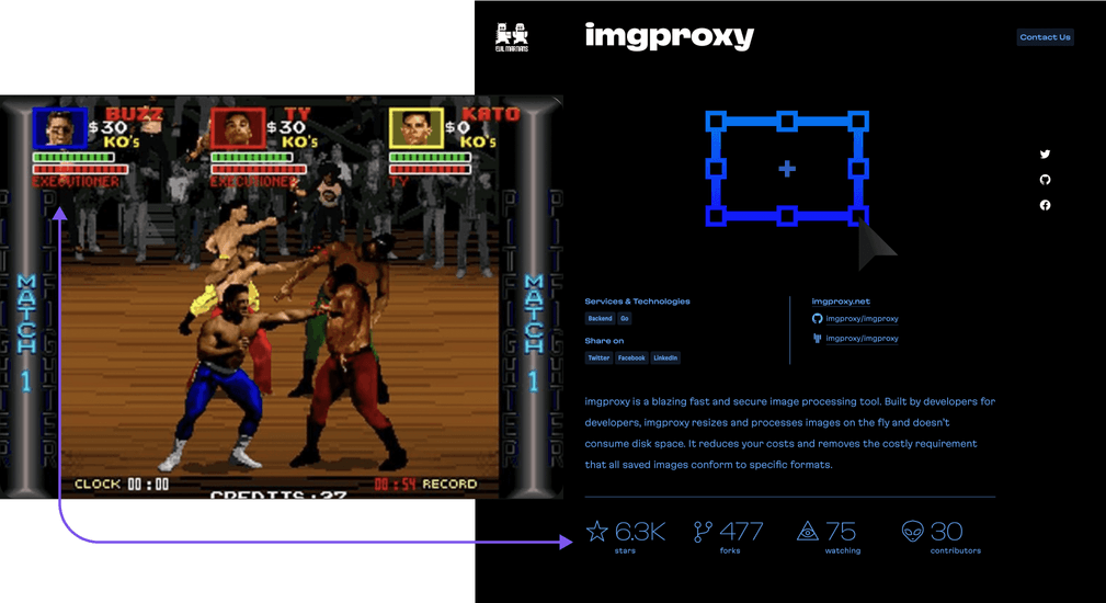 Screenshots of essential stats: player stats in the Pit Fighter and stats of an open source project on our website